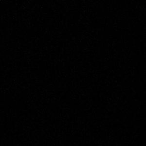 Meet your Posher, Gloria